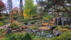 Fundraising Page Image